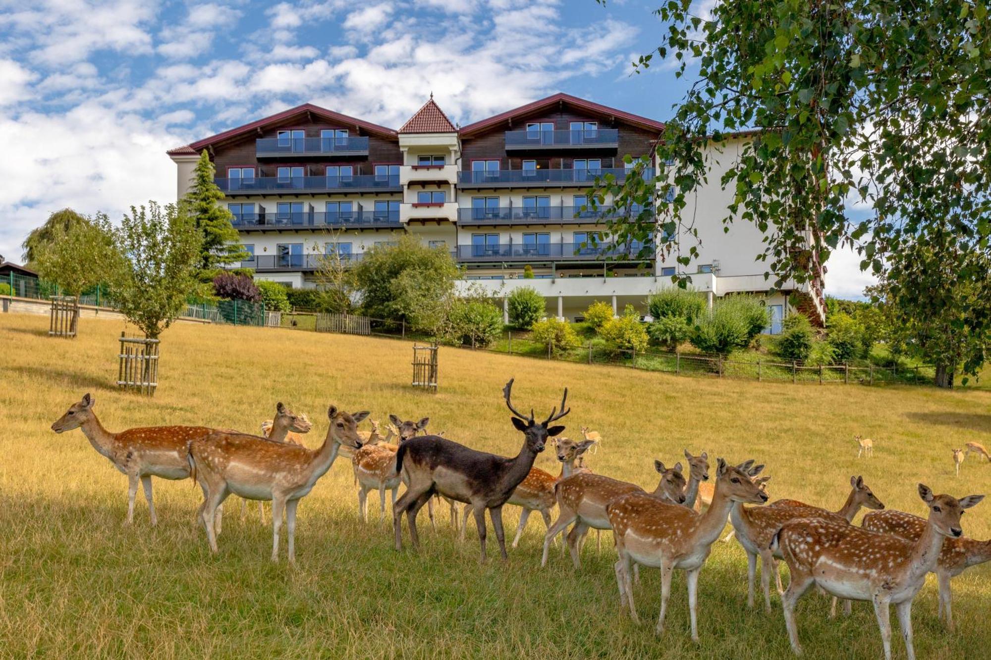 Natur- Und Wohlfuehlhotel Kastenholz Wershofen المظهر الخارجي الصورة